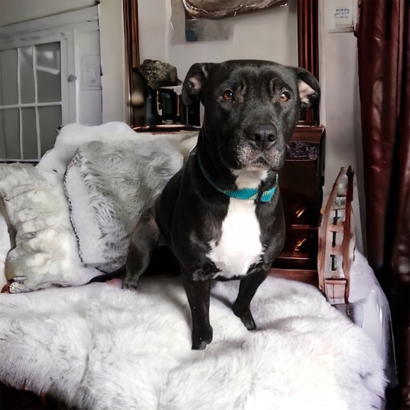 ❤️Reasonable Offer Sale❤️ - Picture 2 of 4